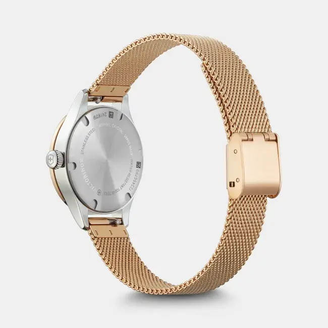 Miniature : Alliance XS V241879