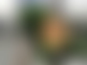 心情掃黑小秘訣