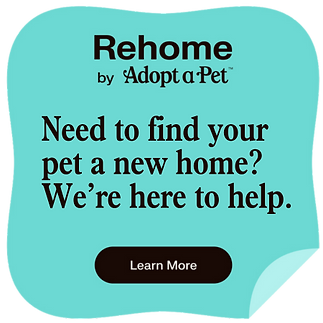 RehomebyAdoptaPet-need.png