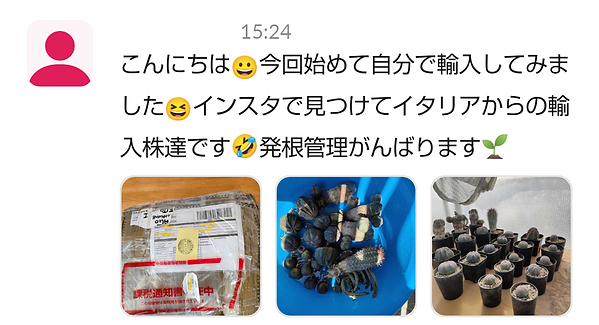 Screenshot_20220628-053033.png