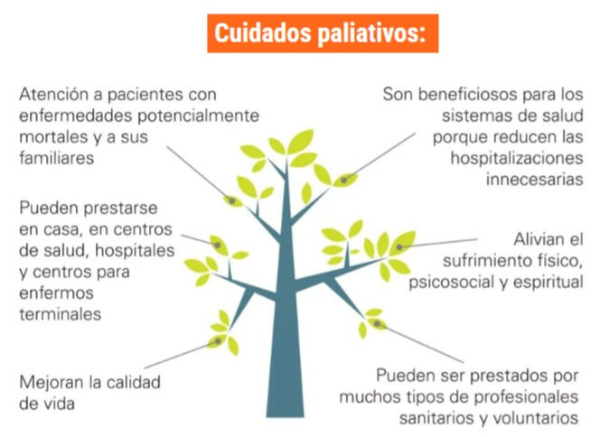 cuidados paliativos