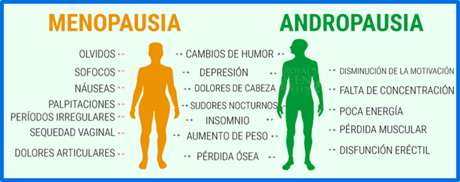 síntomas menopausia y andropausia