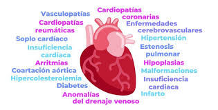 Enfermedades cardiovasculares 