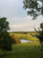 My home