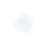 bluerose.png