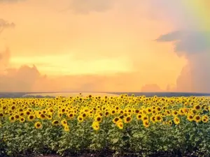 When Tragedy Strikes: Ethical Reflections on Public Discourse, Advocacy and Care