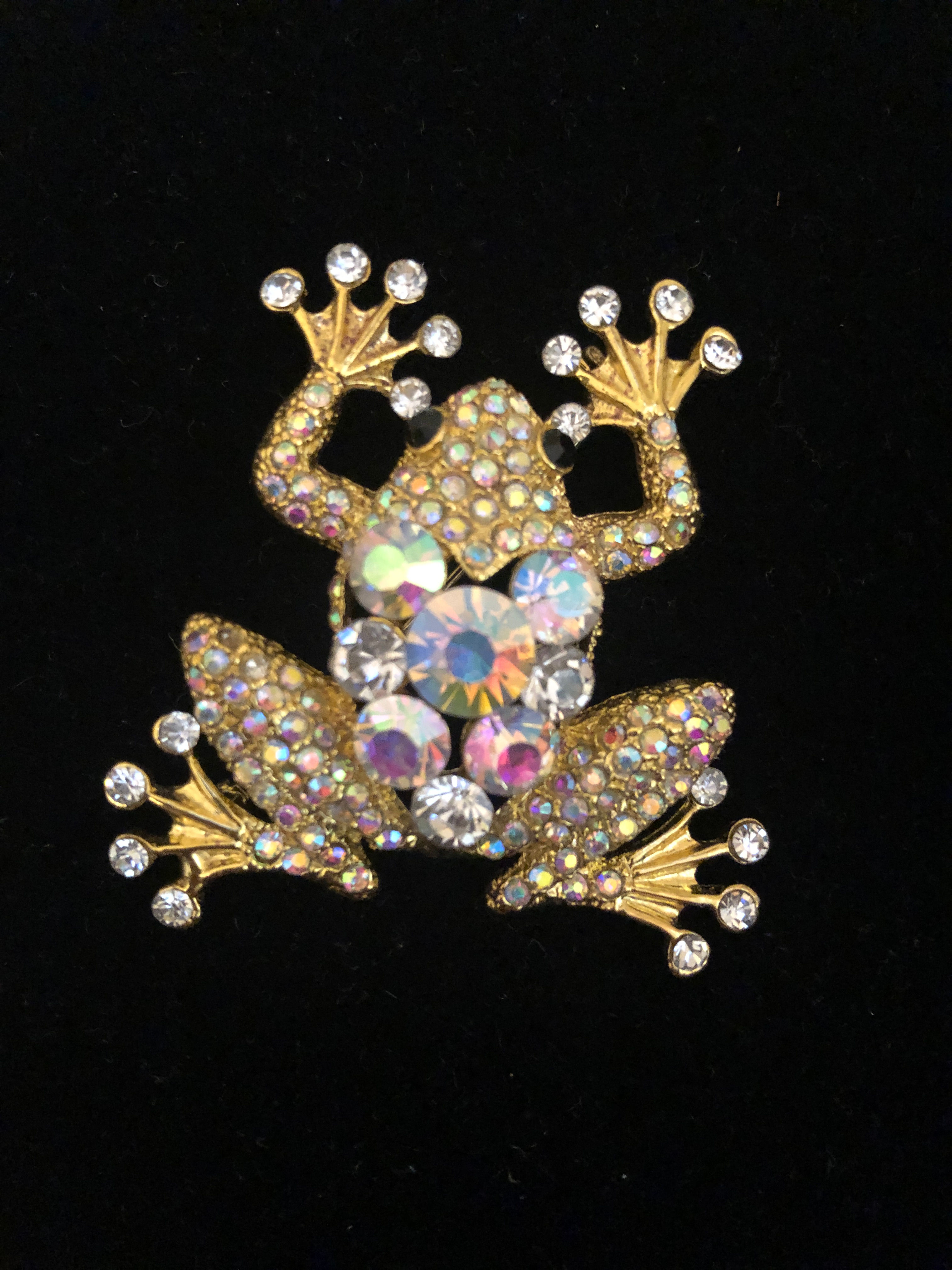 Gold Aurora Borealis frog brooch