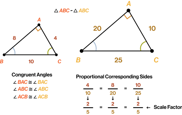 Scale Factor Similar Polygons