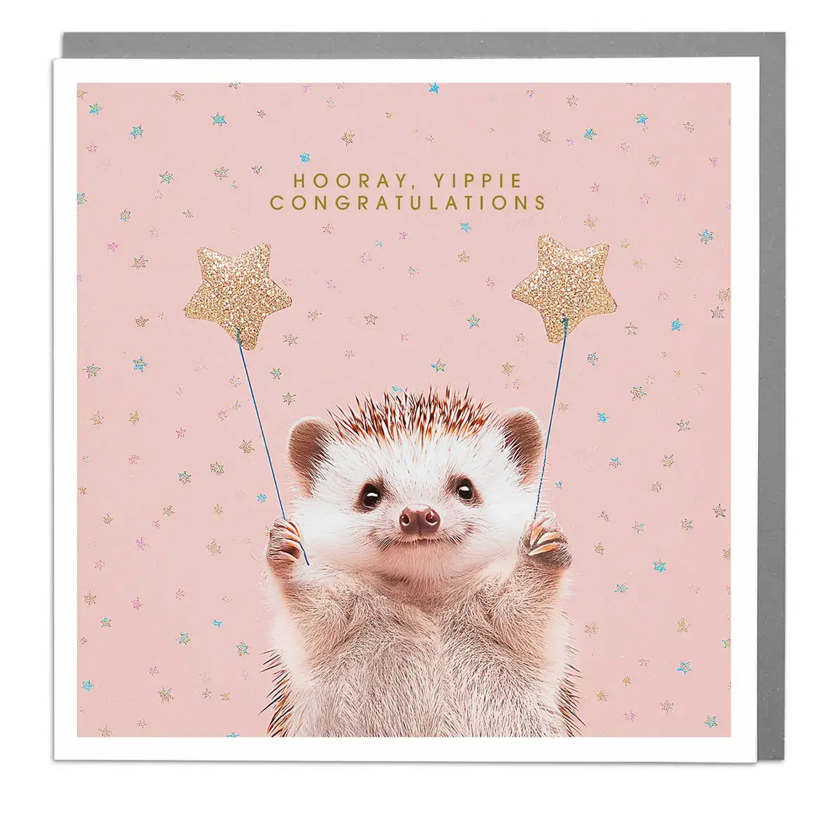 Hedgehog - Hooray, Yippie, Congratulations! Card By Lola Design