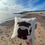 Thumbnail: Handcrafted Highland Cow Cushion