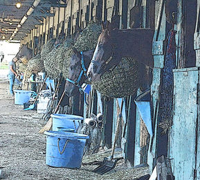 2headedstable.jpg