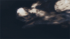 giphy-6.gif
