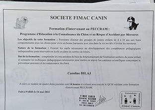 diplome canin
