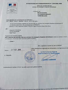 diplome canin