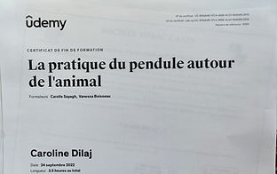 diplome canin