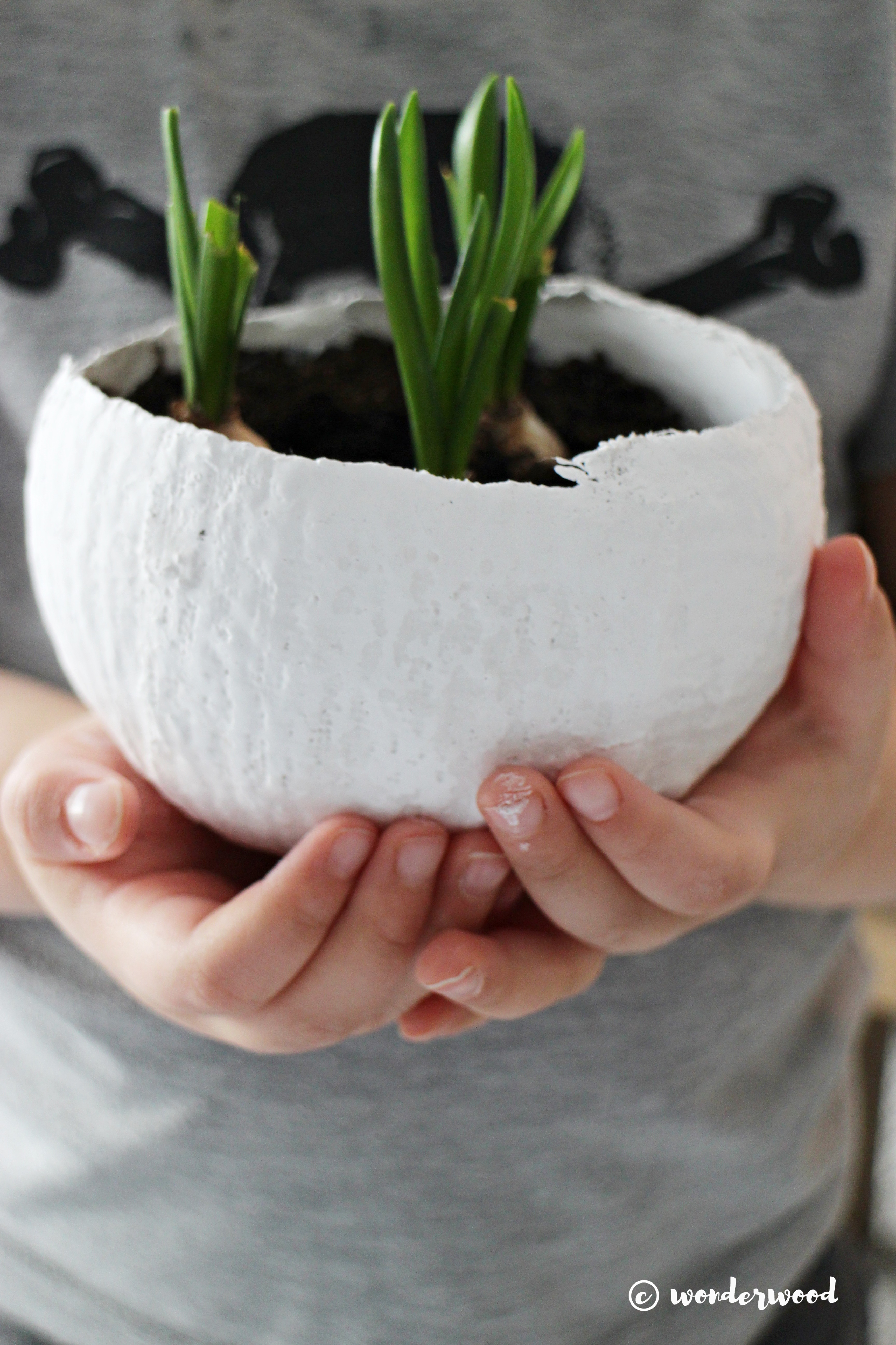 plaster egg bowls