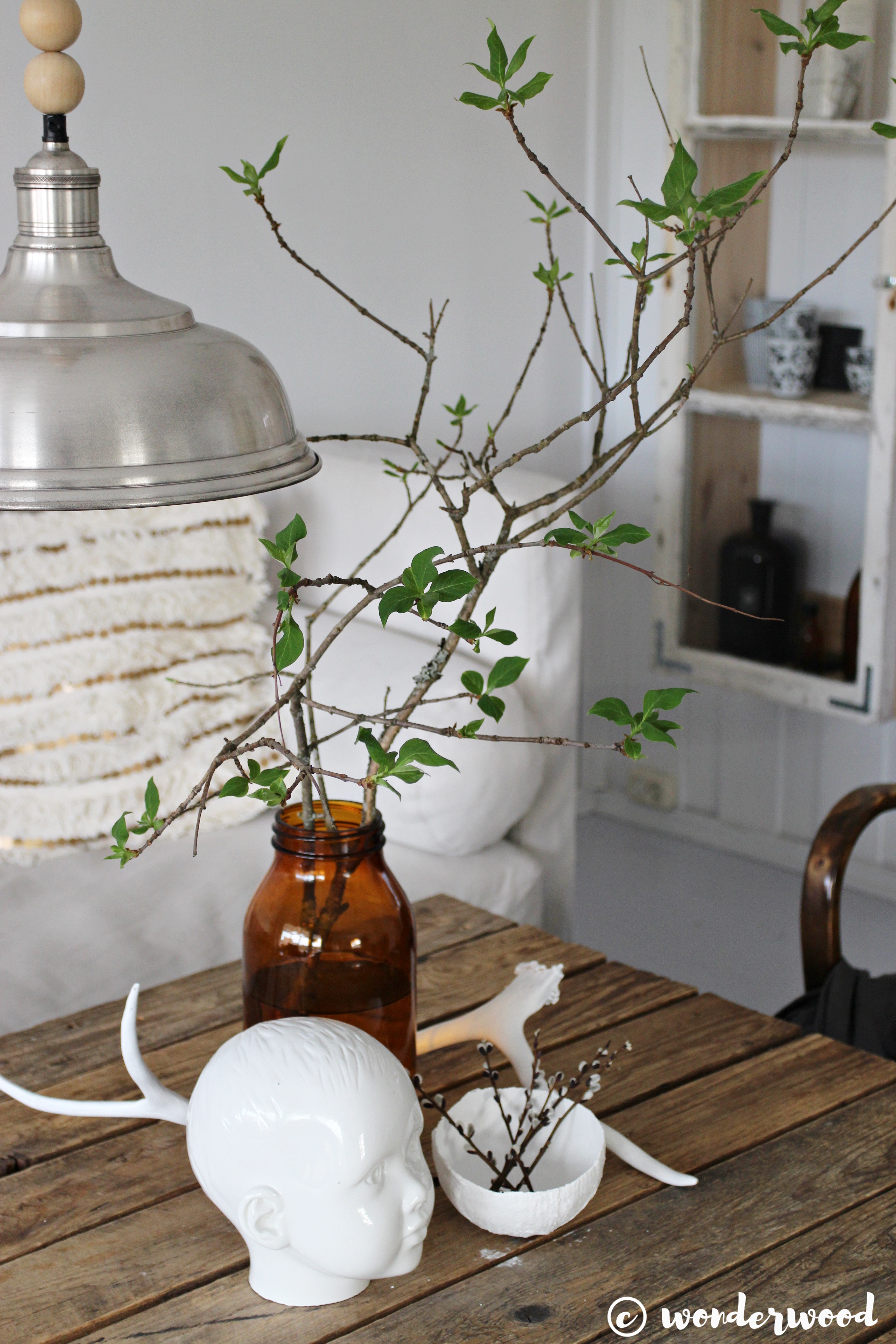 forcing branches to blossom