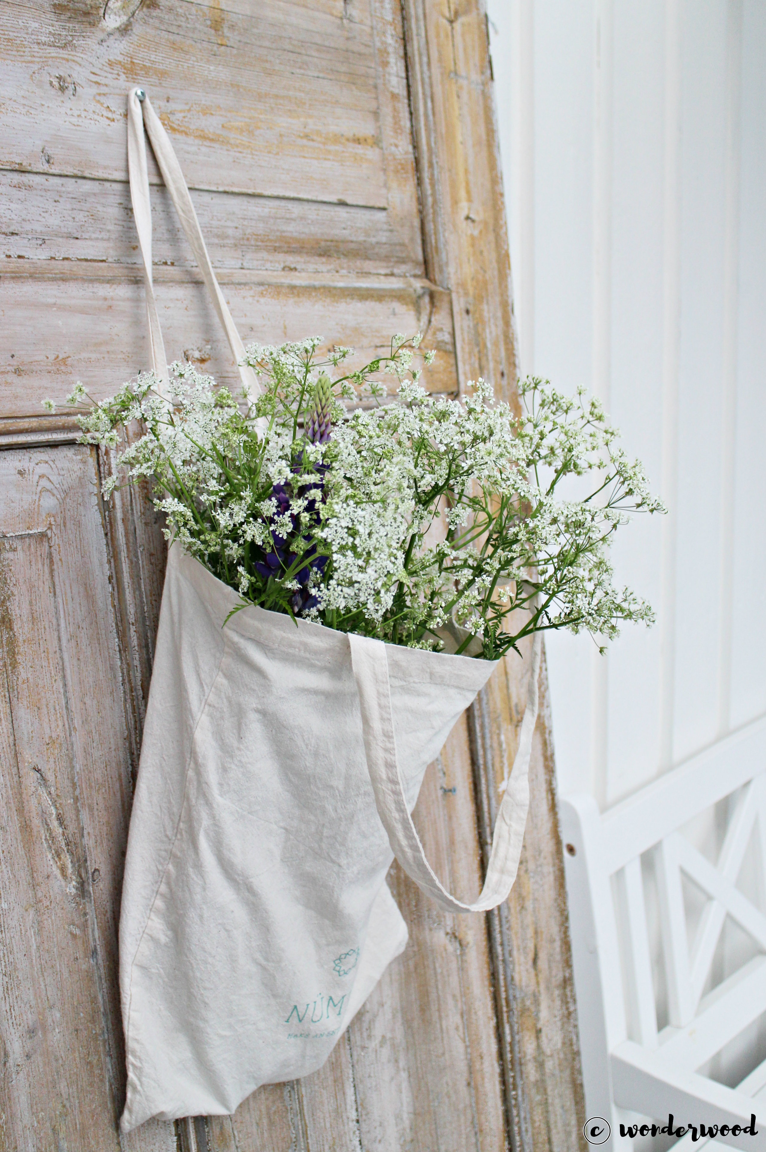hanging garden