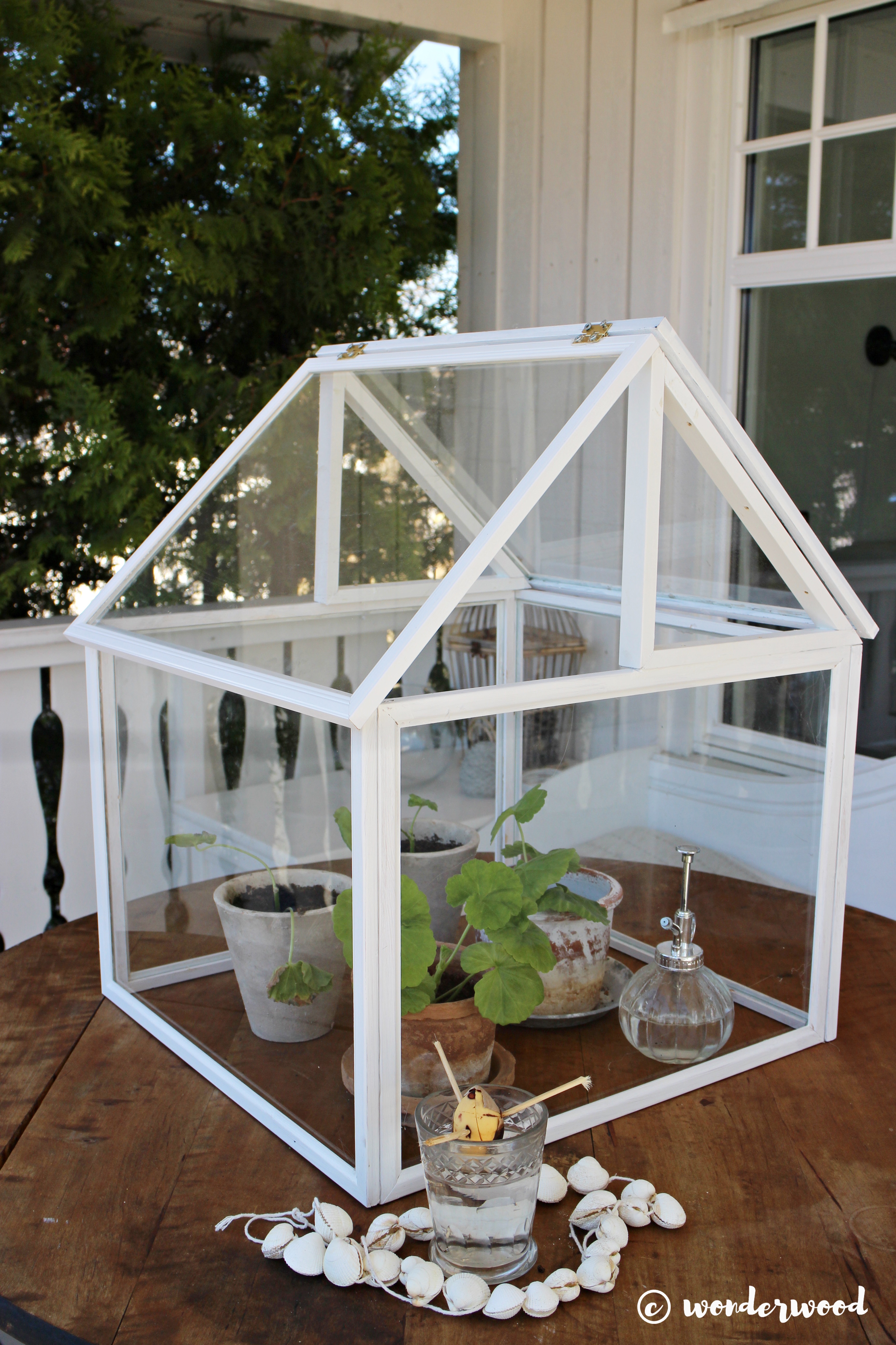 mini greenhouse