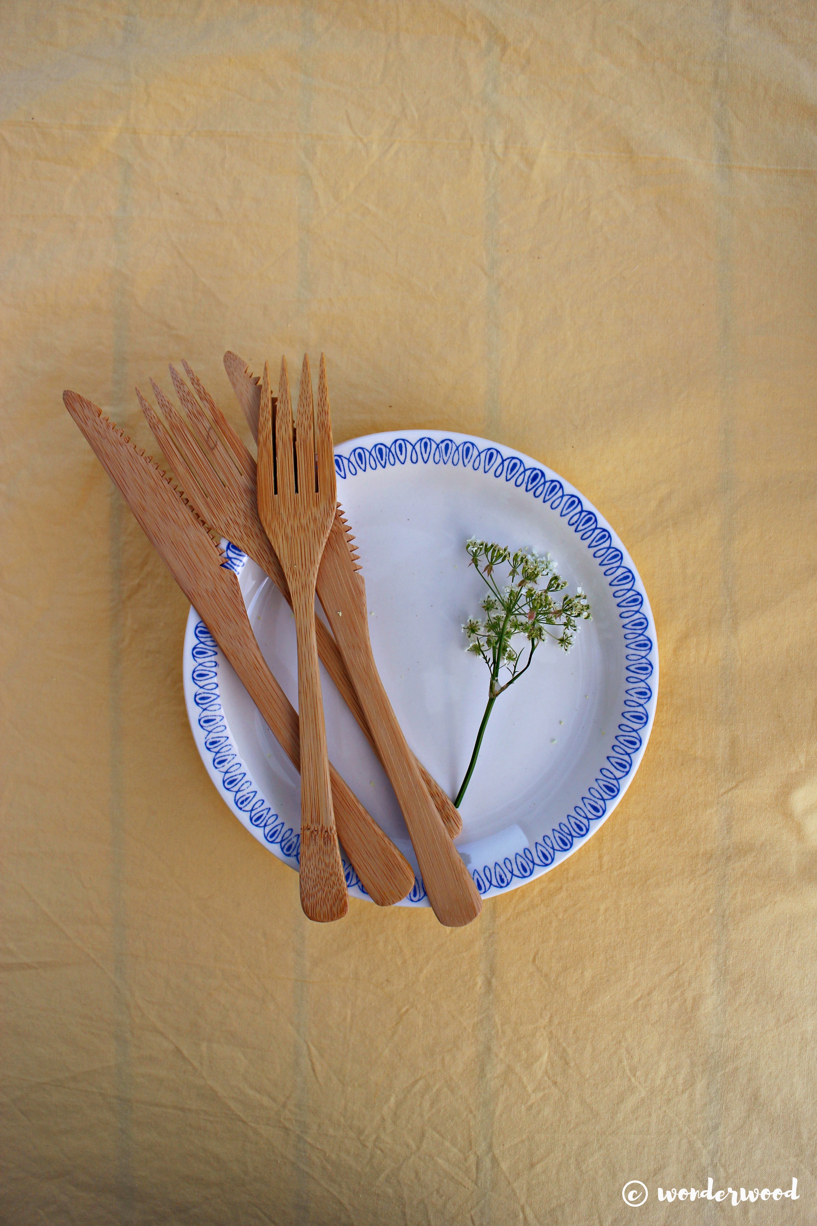 natural fabric dye