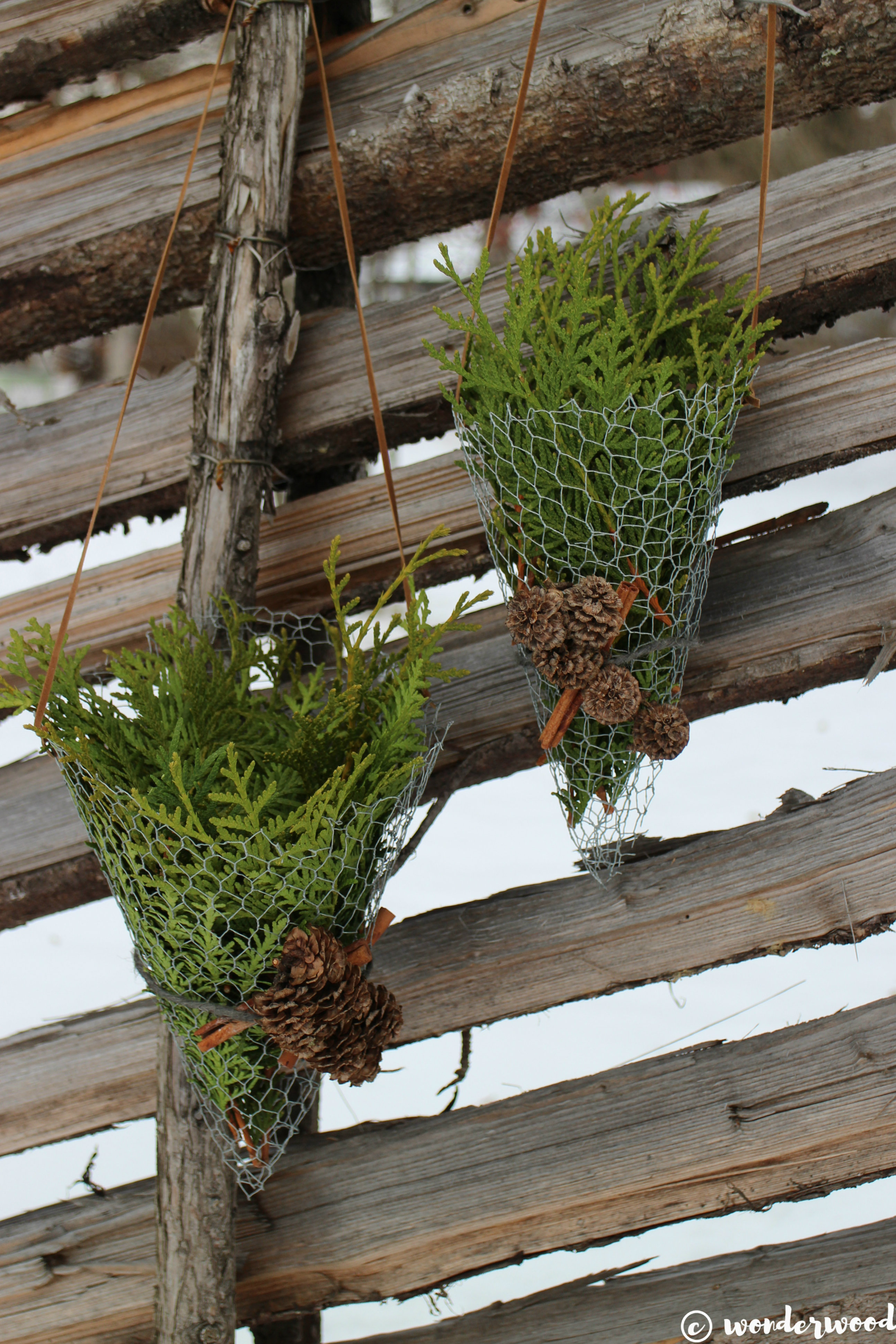 chicken wire cornets