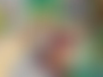 Career in Art—Animator