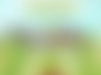 11ème tournoi d'Arcueil - COSMA Bad'Becue