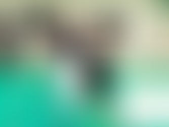 La Reprise des Aoûtiens