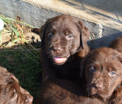 IMG_1425_edited_edited