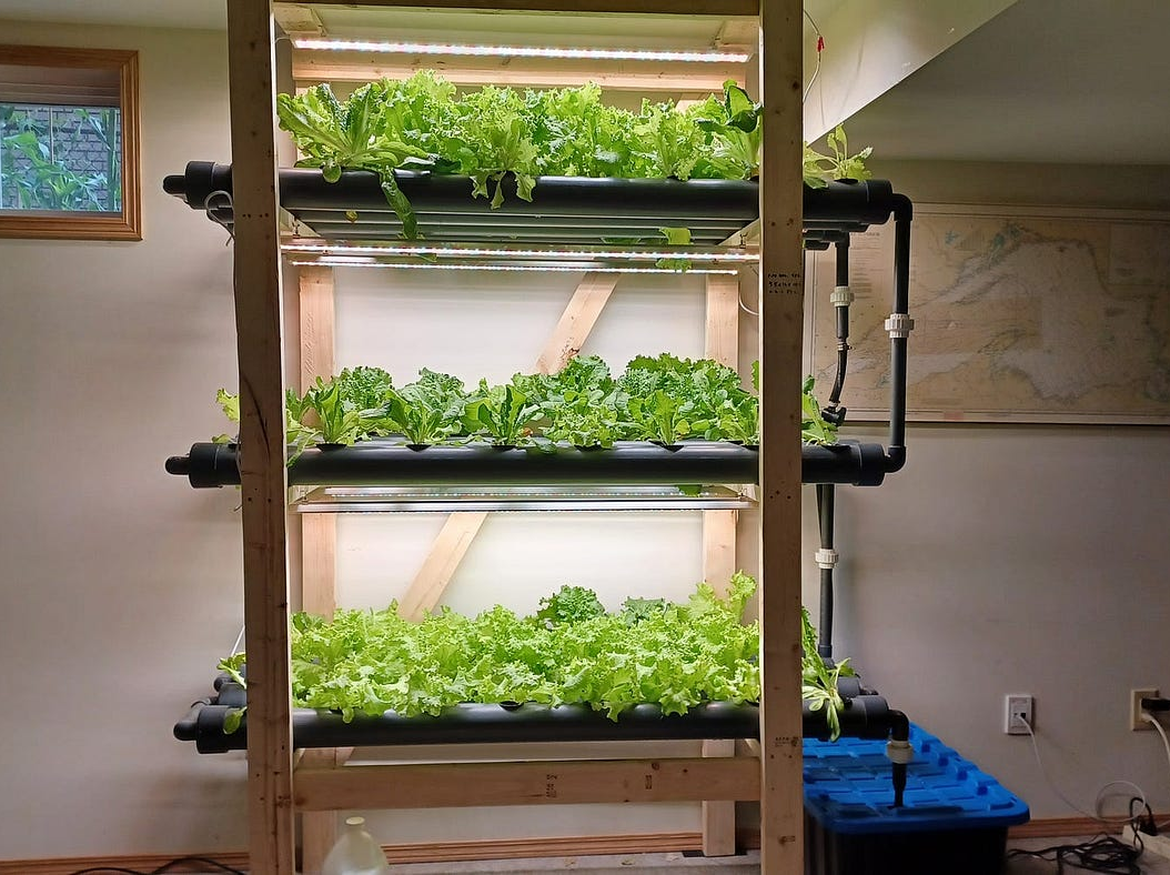 Hydroponics - Winter Indoor Options