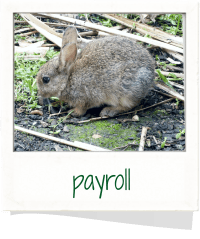 Payroll