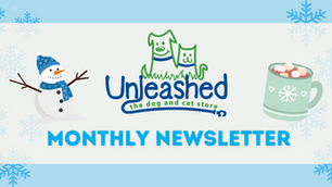 January 2025 Newsletter