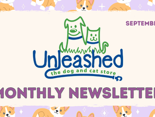 September 2025 Newsletter