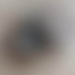 RDB Cookie Sandwich with blue icing