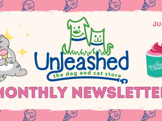 July 2025 Newsletter