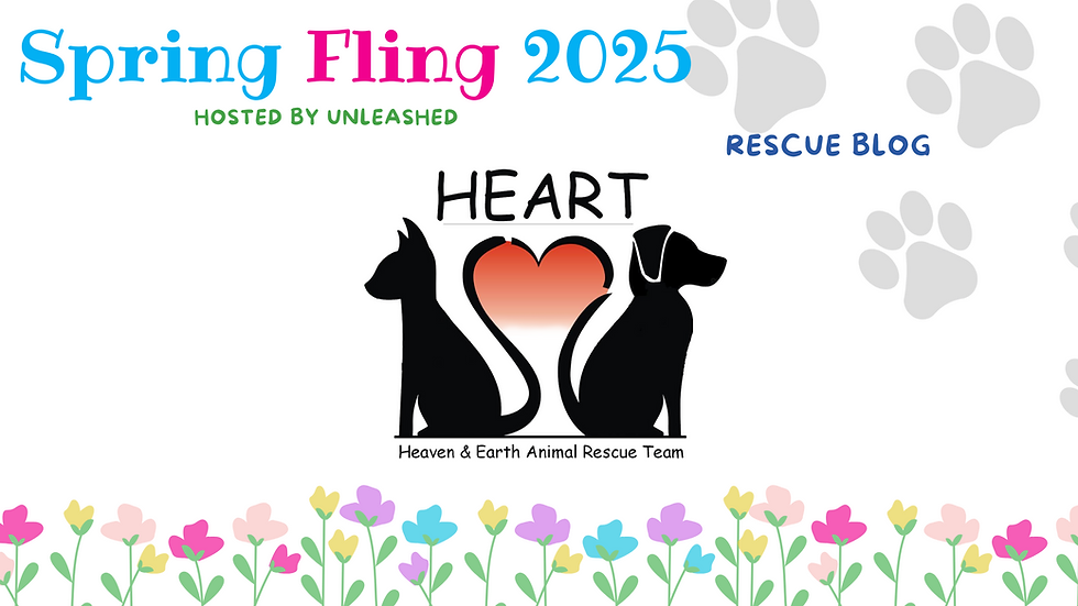 HEART Logo Banner