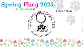 Great Dane Friends of Ruff Love Logo Banner