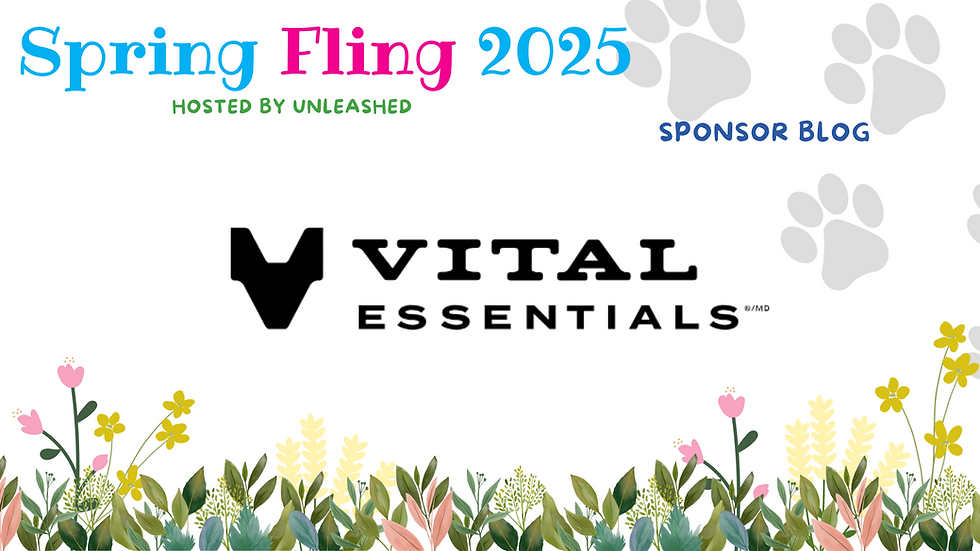 Vital Essentials Logo Banners