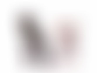 Two black and white puppies standing against a white background