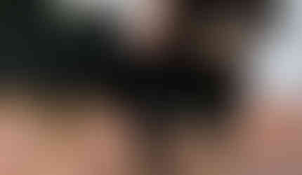 Black and tan small mixed breed dog standing on brick stairs