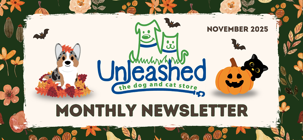 October Monthly Newsletter
