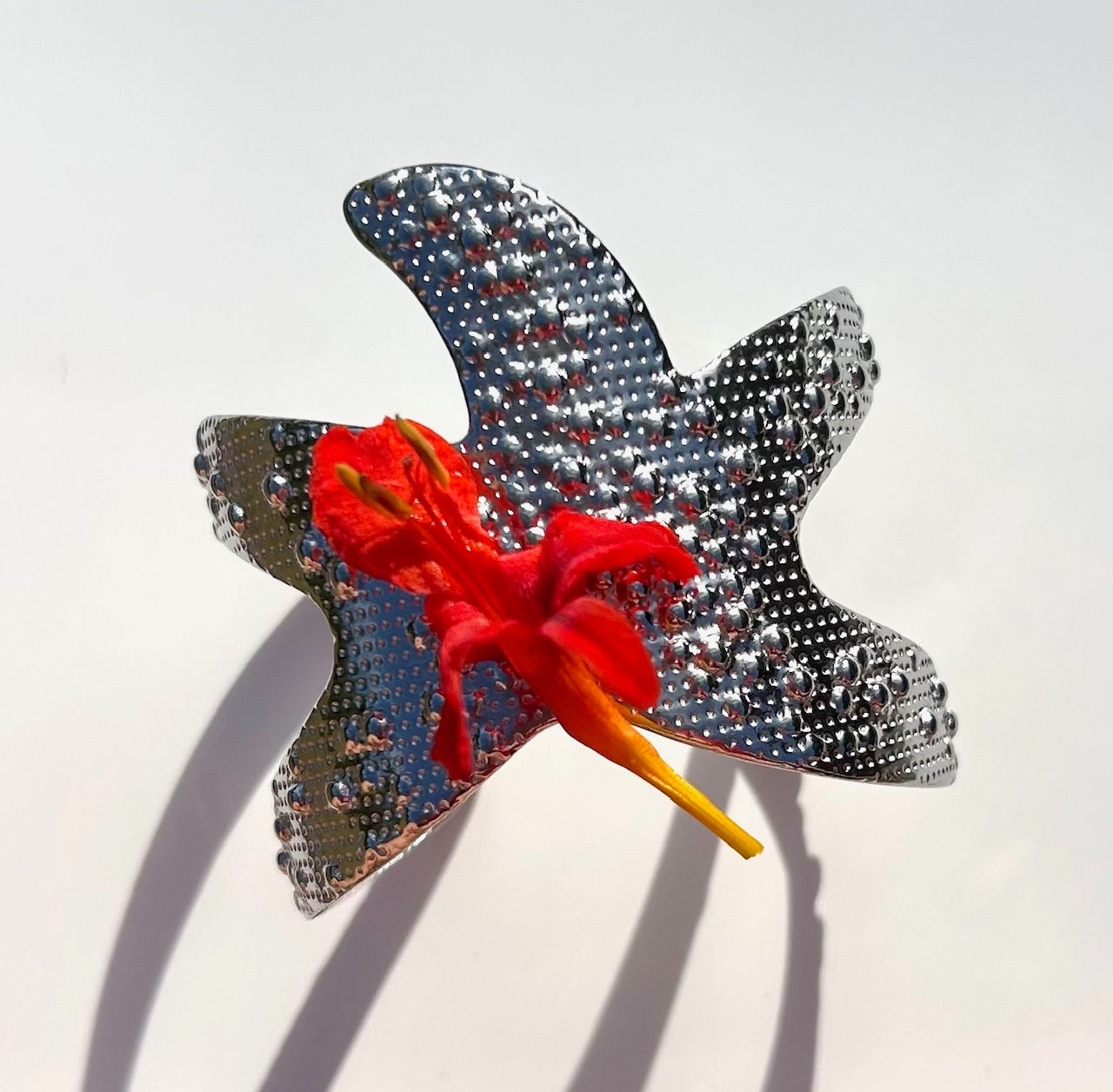 The Soloman Starfish Bangle