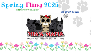 Mia's Mafia