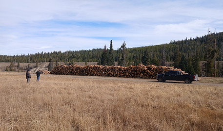 FY26 Northern Arapaho Tribe Pic.jpg