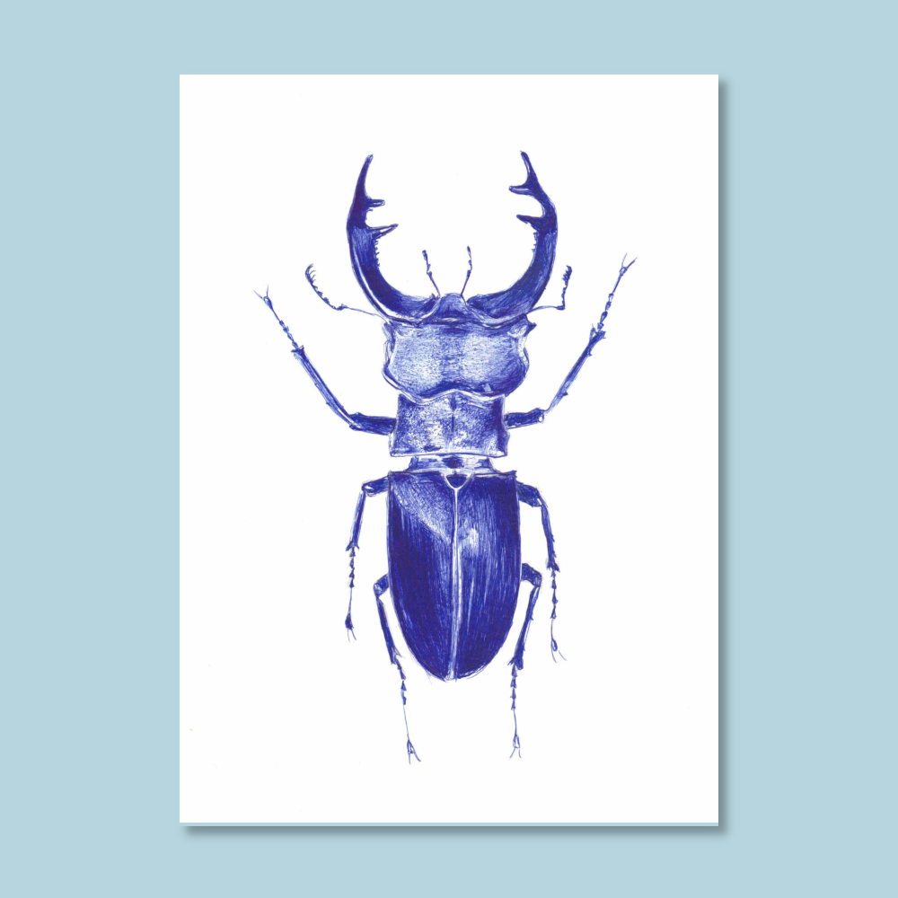 Postcard hirschkäfer