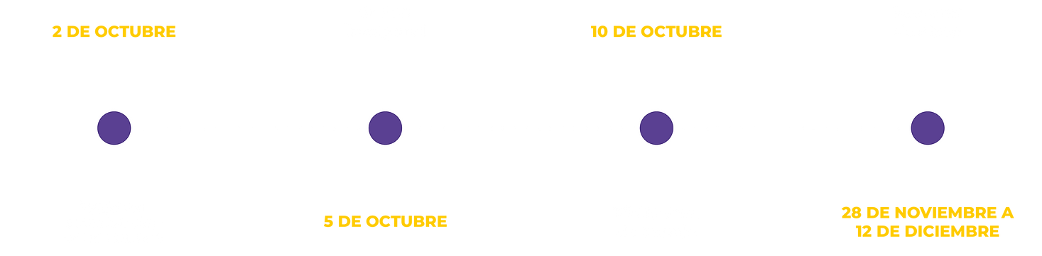 CRONOGRAMAS TAVI_Mesa de trabajo 1.png
