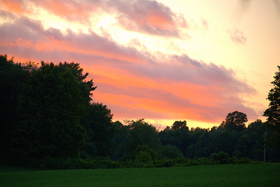 _DSC9203.les.8.3.26