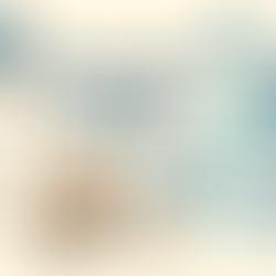 So You’ve Been Named Executor: A Comprehensive Guide to Administering an Illinois Estate