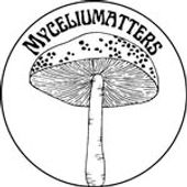 284862996_907852270610655_3143274141006449000_n.jpg