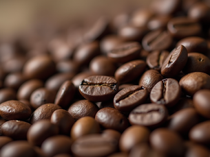 Top Coffee Beans for Every Coffee Lover's Palette